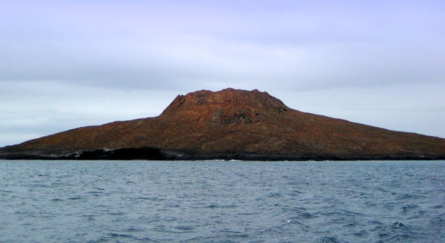 Sombrero Chino Travel In Ecuador And Galapagos