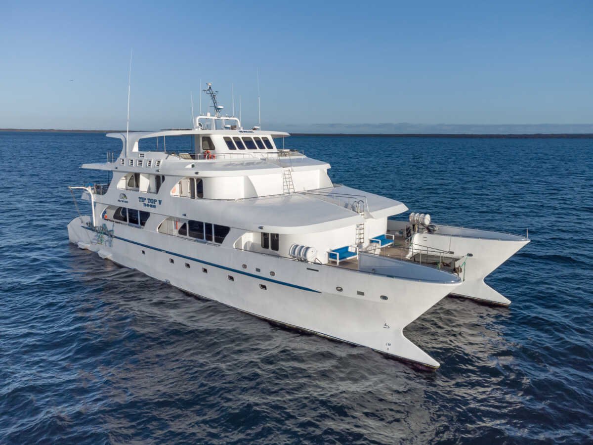 2026 boat tiptop5 001