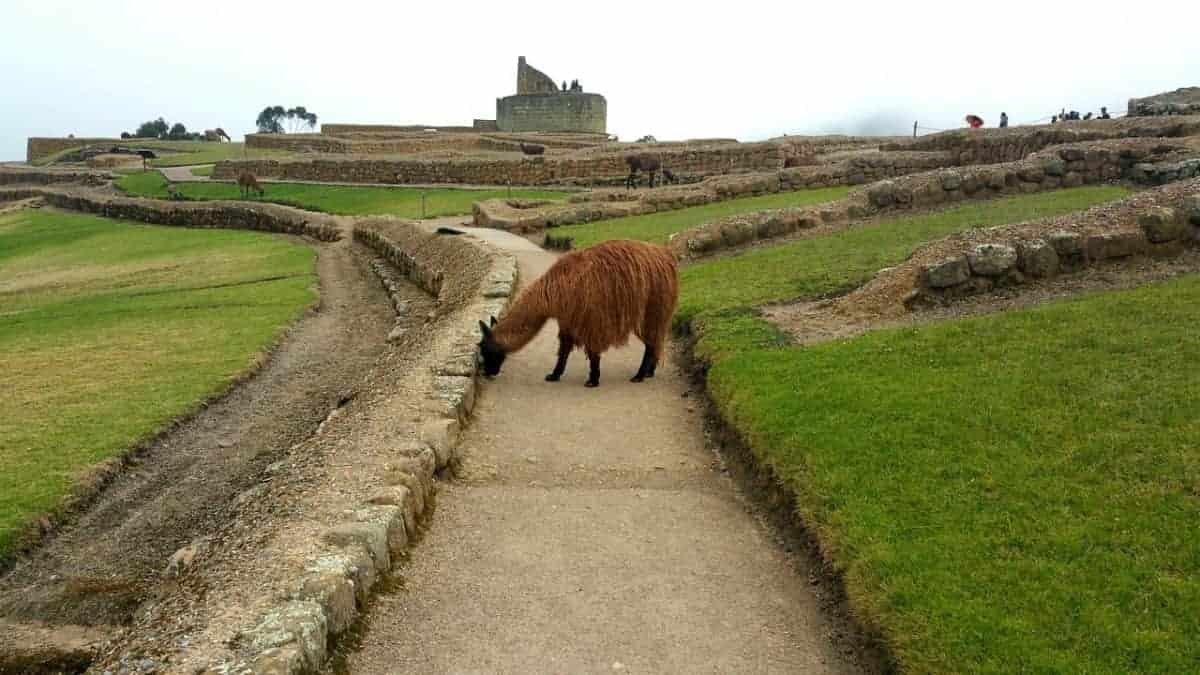 Excursion-Guamote: