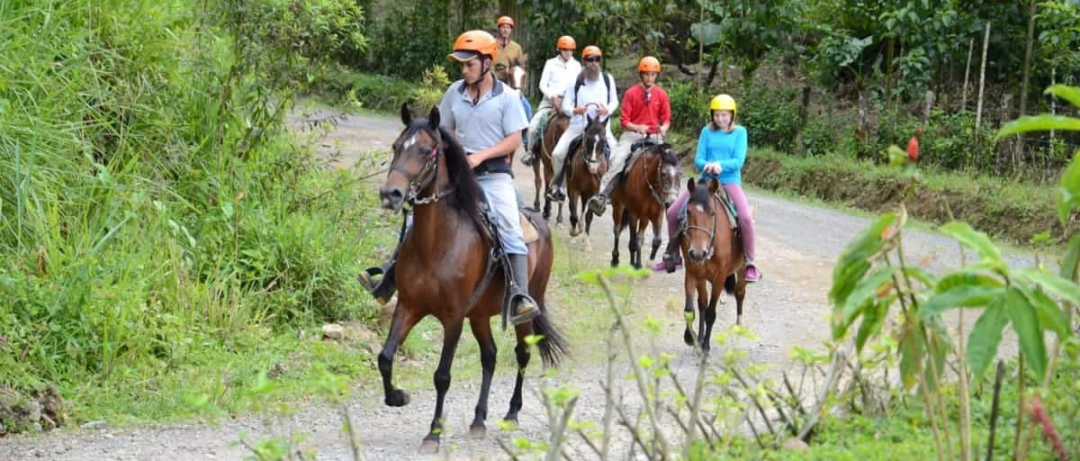 Excursion-Mindo: