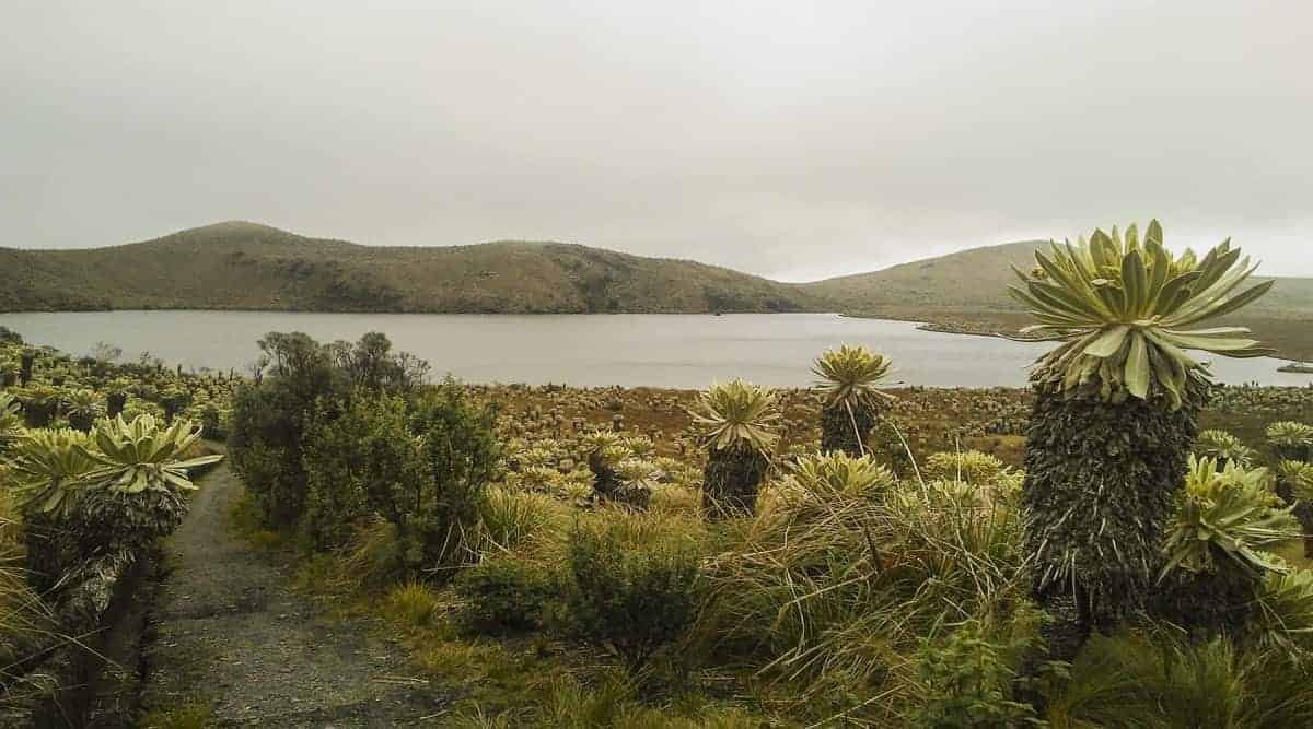 Excursion-Otavalo: