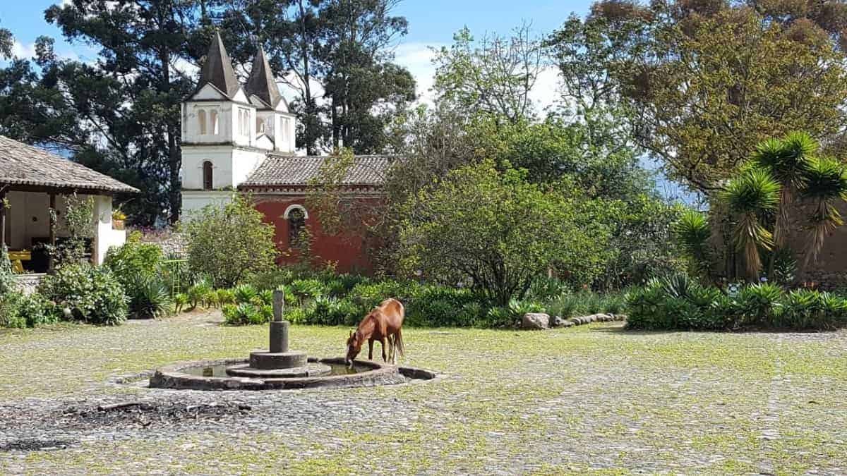 Excursion-Quito: