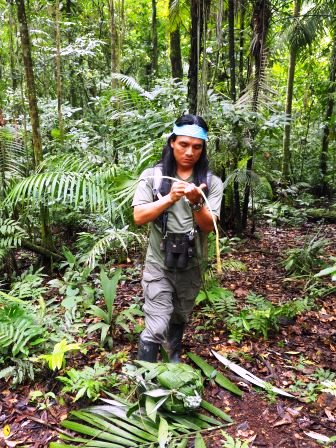 Sample Tours Image Amazon Low