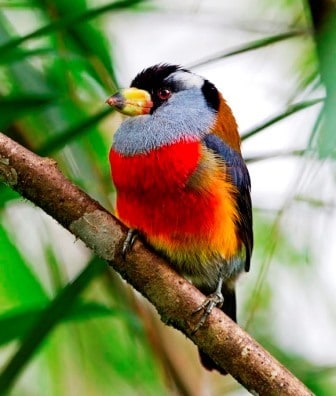 Sample Tours Birding Trip